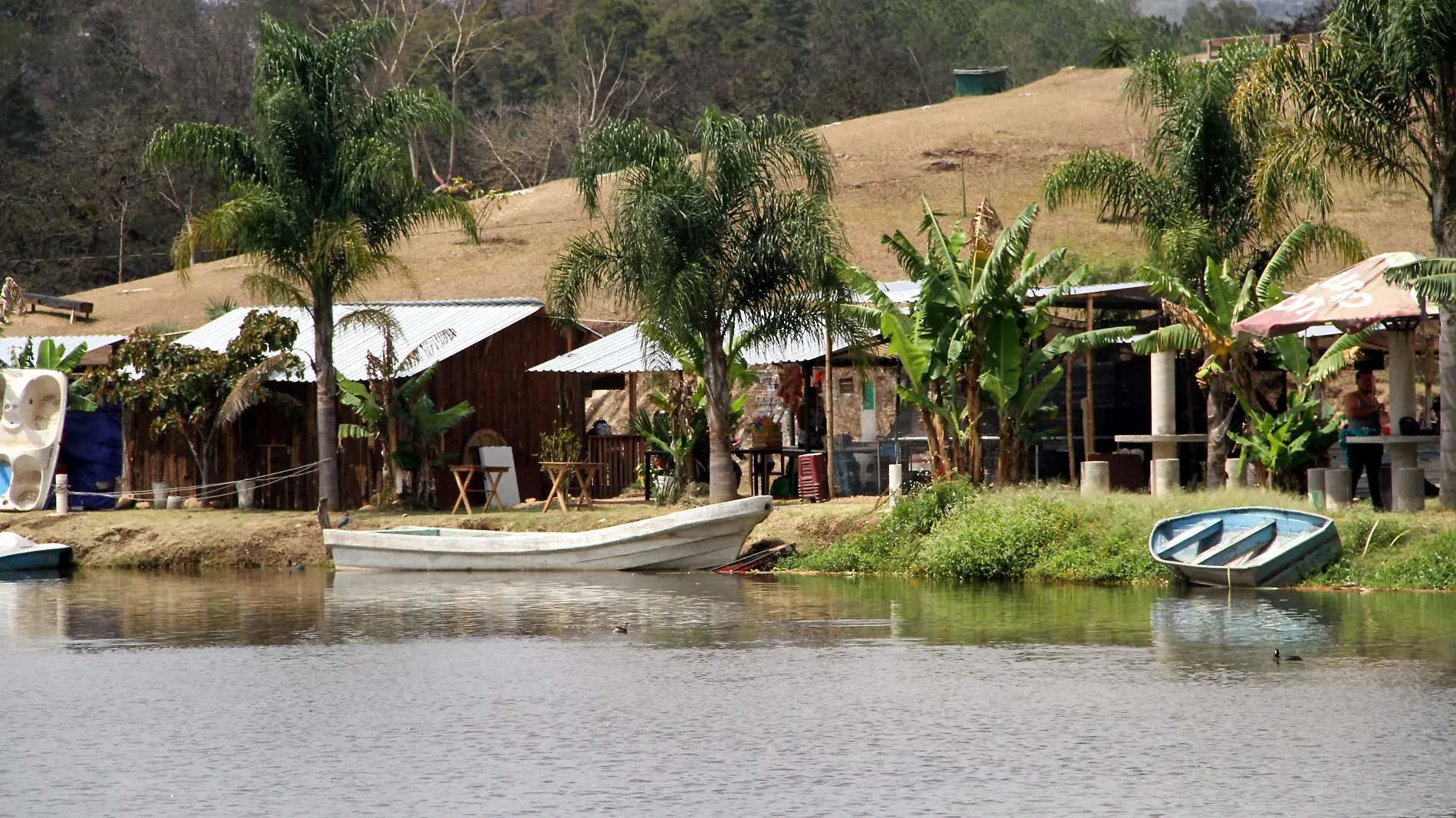 JE160320239235Laguna del Castillo